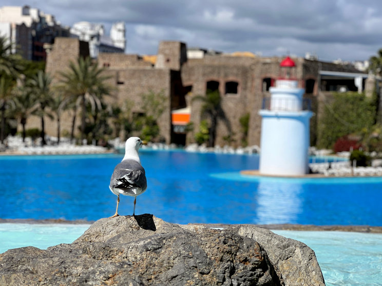 Parque Marítimo del Mediterráneo  (9)