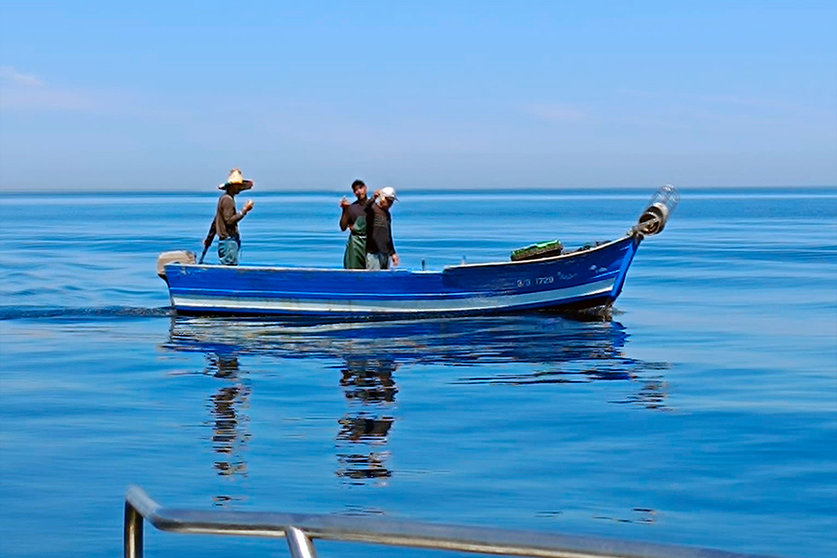 CECAM denuncia la pesca con palangres en la Almadrabeta / CECAM