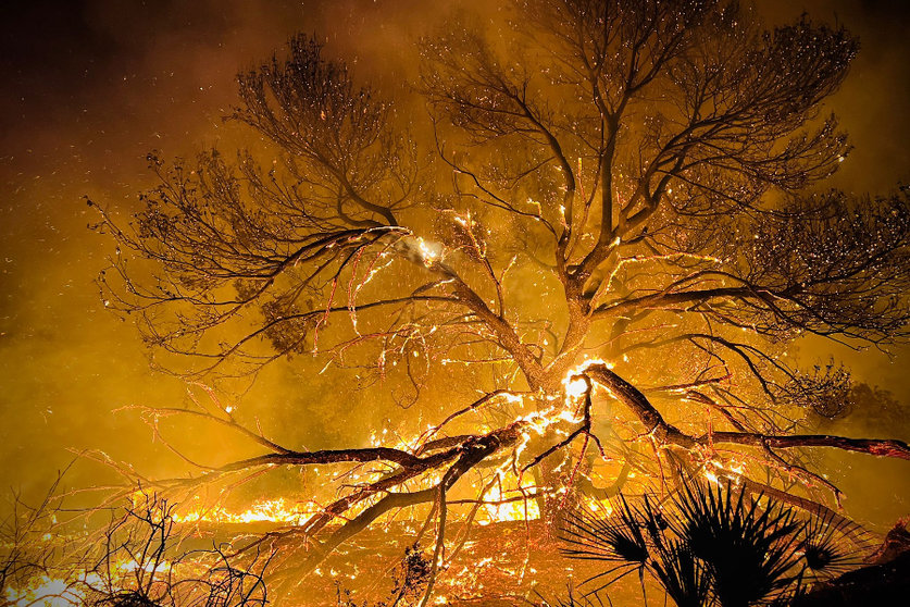 Incendio de la pasada madrugada 