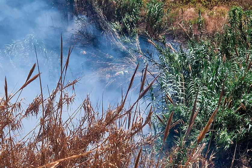 Incendio en Arrollo Paneque / Laura Ortiz