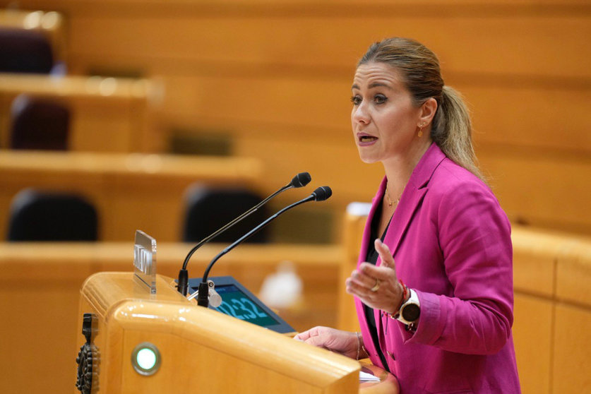 Sofía Acedo, portavoz del PP en la Comisión de Trabajo, Economía Social, Inclusión, Seguridad Social y Migraciones / Partido Popular