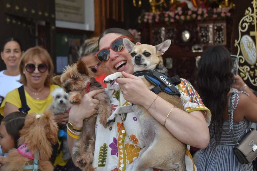  Esperanza Montes junto a sus perros Goku y Boy, recién bendecidos por San Daniel. 