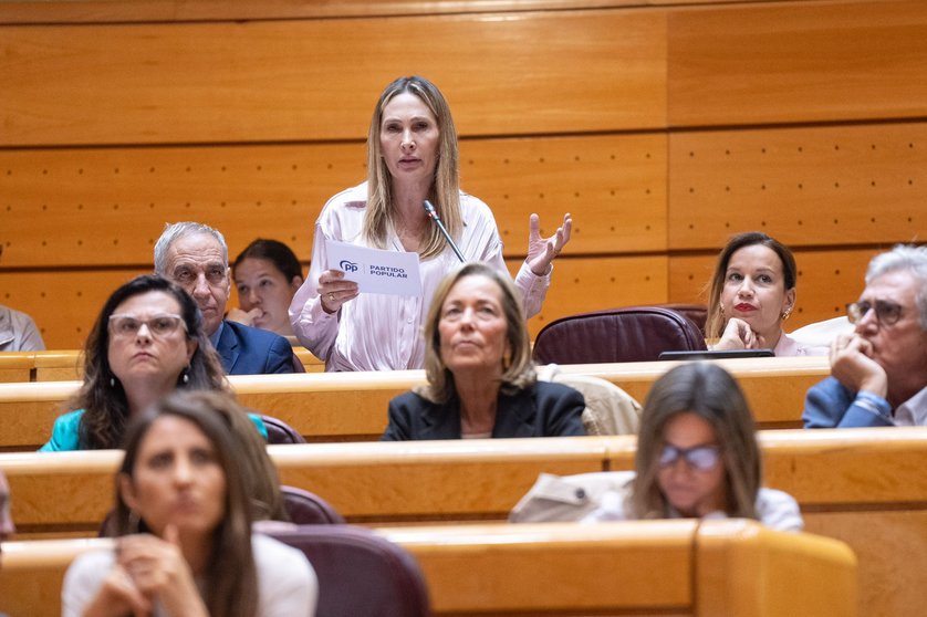 Cristina Díaz, en el Senado / PP